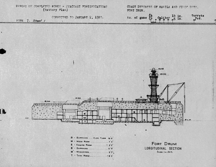 Longitudinal section