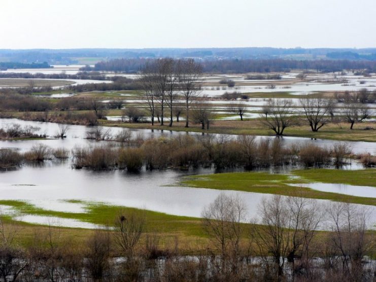 Wizna Battlefield overlooking Narew River near Góra Strękowa Photo by Wojsyl CC BY-SA 3.0