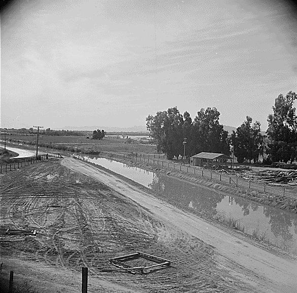 Poston, Arizona Relocation Camp for Japanese-Americans by Hikaru Iwasaki, 1945.