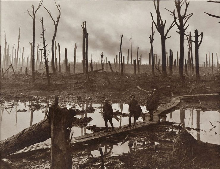 Soldiers of an Australian 4th Division field artillery brigade on a duckboard track passing through Chateau Wood, near Hooge in the Ypres salient, 29 October 1917.