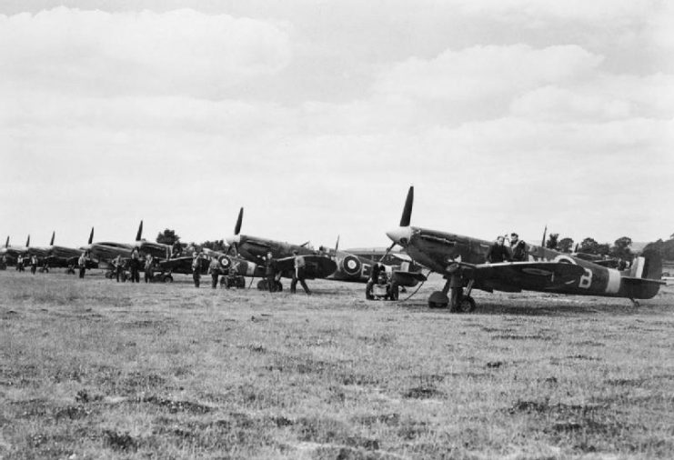 A line of Supermarine Spitfire Mark VBs of No. 131 Squadron RAF, being prepared for a sweep at Merston, a satellite airfield of Tangmere