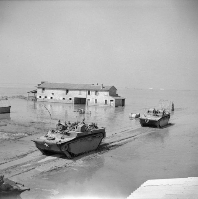 Buffalo amphibians transport German prisoners through a flooded landscape south of Lake Comacchio.