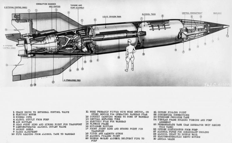 The future of heavy armament.. A U.S. Army cut-away of the German V-2.