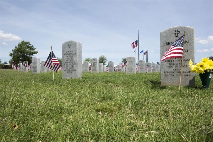 Small American flags fly on graves at the Texas State Veterans Cemetery Photo by (U.S. Air Force photo by Senior Airman Austin Mayfield