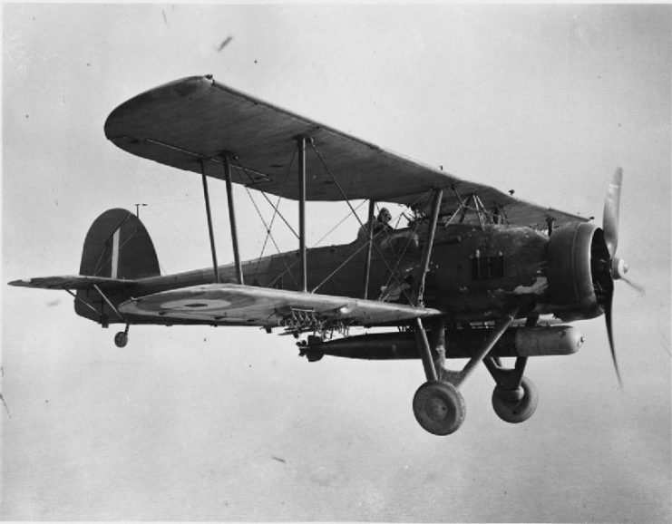 A Swordfish I during a training flight from RNAS Crail, circa 1939–1945