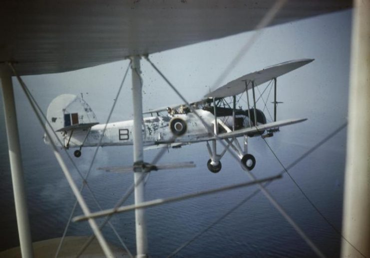 A Swordfish, circa 1943–1944