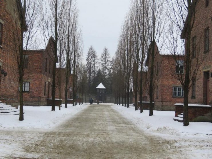 Auschwitz.