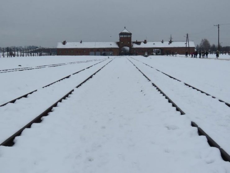 Birkenau.