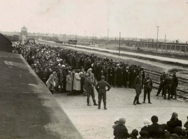 Auschwitz II-Birkenau, occupied Poland, selection on the platform.