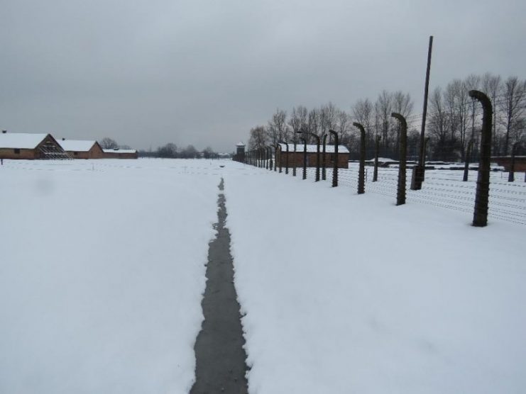 Bleak Birkenau.