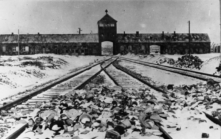 Auschwitz:  Bundesarchiv B 285 Bild-04413,