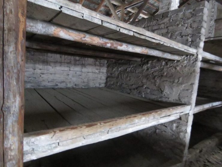 Bunks in the womens’ quarters. 5 or 6 women had to squeeze into here, cold, bare and unsanitary.