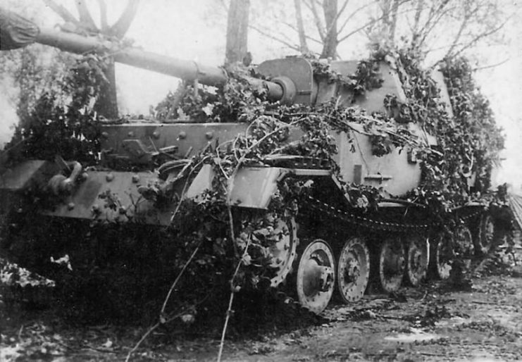 Ferdinand Elefant heavy tank destroyer