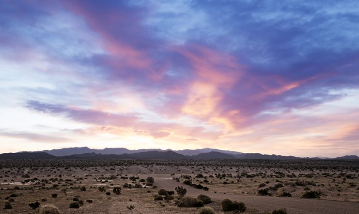 Mojave Desert.