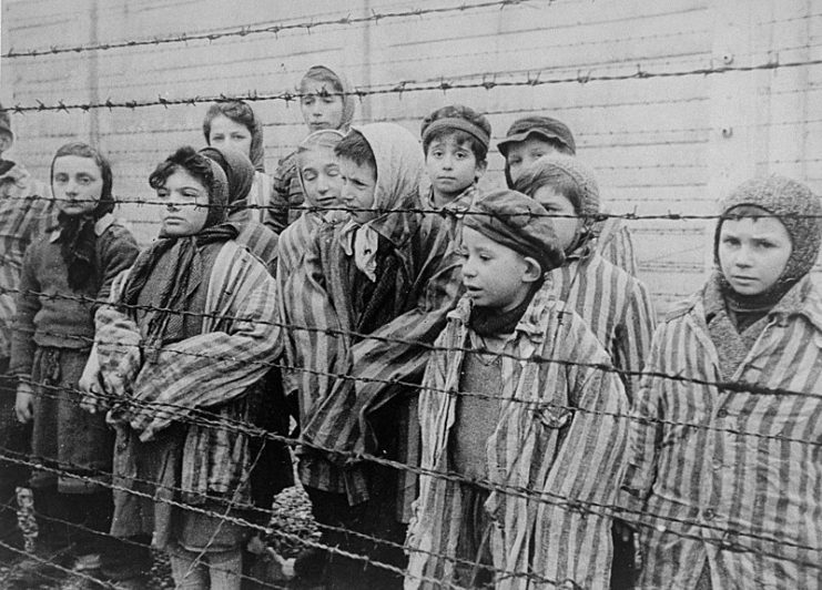 Jewish twins kept alive in Auschwitz for use in Mengele’s medical experiments. The Red Army liberated these children in January 1945.