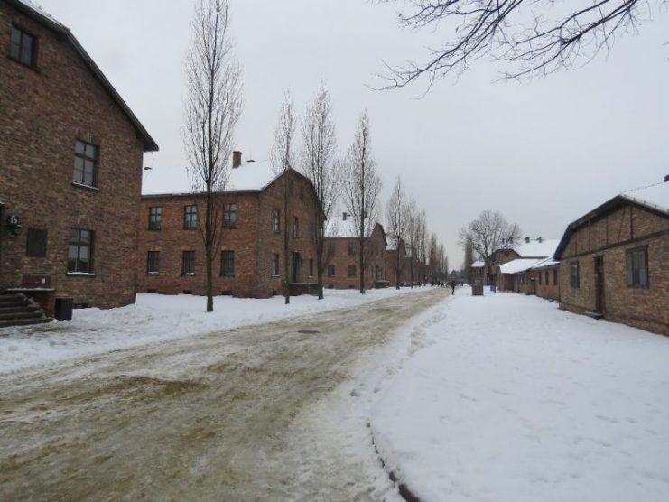 More of Auschwitz.