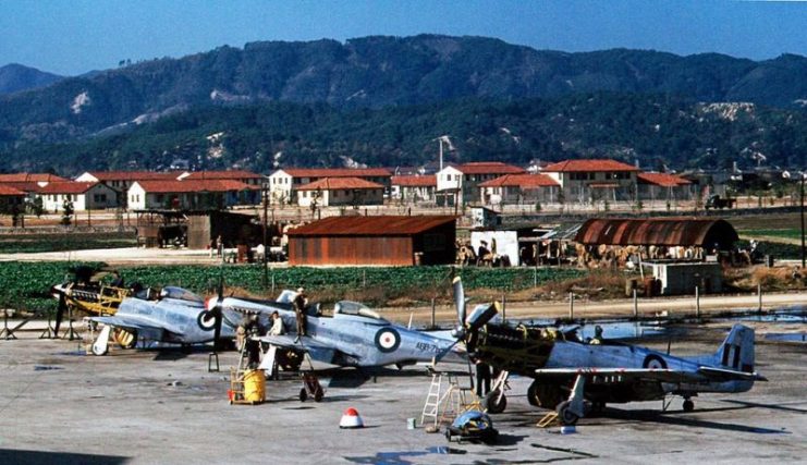 No. 77 Squadron P-51 Mustang fighters undergoing maintenance at Iwakuni, Japan, c. 1950