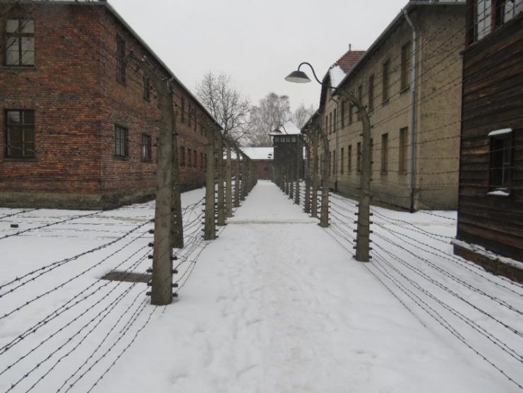 Rows of what used to be high voltage electric wire. Inmates would sometimes throw themselves onto this wire as a sudden and final end to their torment and suffering.