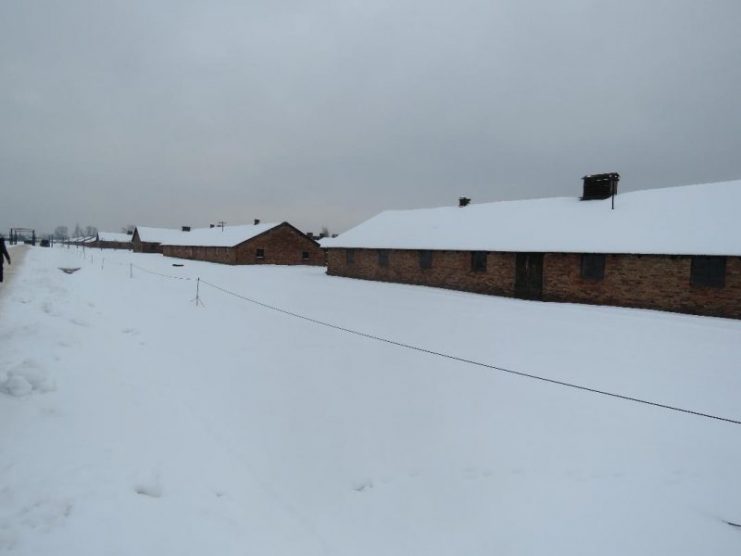 Some of the women’s blocks at Birkenau.