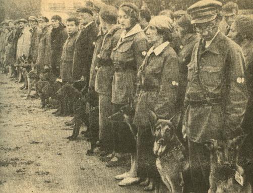 Soviet military dog training school, 1931