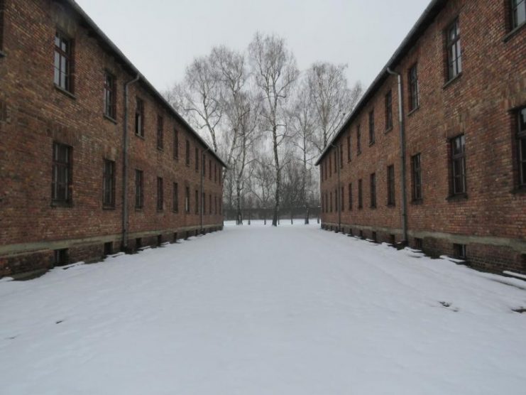 The bleakness of Auschwitz.
