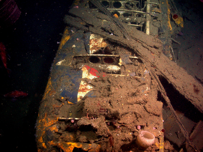 The pre-1941 pattern U.S. roundel emblem still faintly visible on the sunken wreckage of a Macon airplane.
