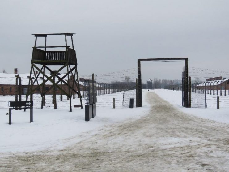 Watchtowers over Birkenau.