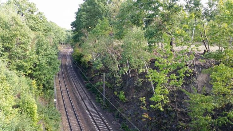 Alleged hiding place of the Gold Train in Wałbrzych Photo by RafalSs –CC BY-SA 4.0