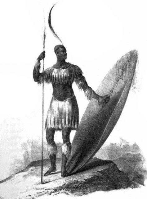 1824 European artist’s impression of Shaka with a long throwing assegai and heavy shield. No drawings from life are known.