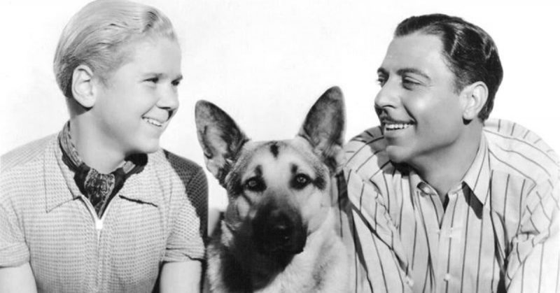 Jackie Cooper, Rin Tin Tin Jr., and Joseph Calleia in Tough Guy (1936)