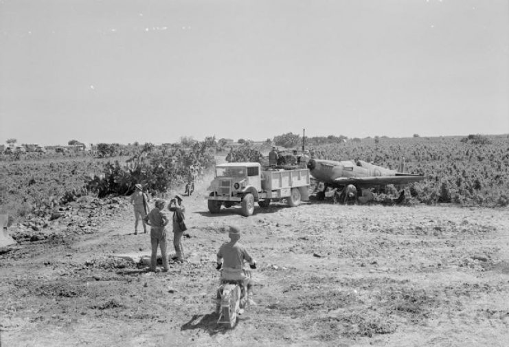 Mechanics from No. 1 Squadron SAAF prepare to fit a replacement propeller on a Supermarine Spitfire Mark IXE of No. 111 Squadron RAF, parked by a vineyard on the edge of the airfield at Pachino, Sicily.