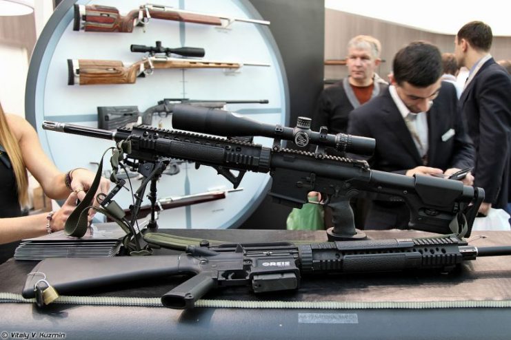 AR-10 at ARMS & Hunting 2013 exhibition. Photo by Vitaly V. Kuzmin CC BY-SA 4.0