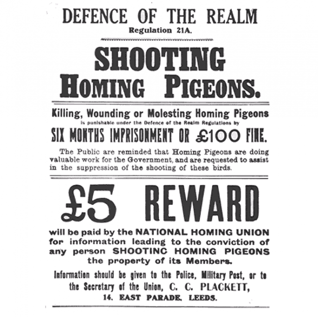 British WWI poster regarding the killing of war pigeons being an offence under Regulation 21A of the Defence of the Realm Act