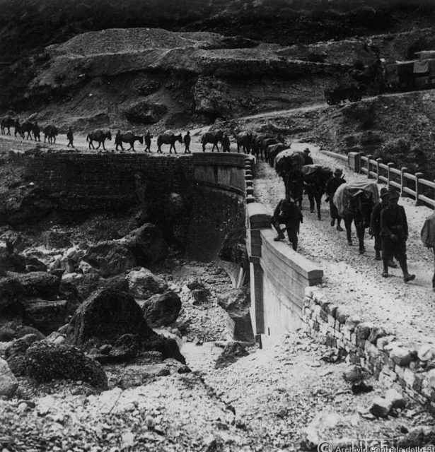 Capture of Tepelene by Italian troops in the winter of 1941.