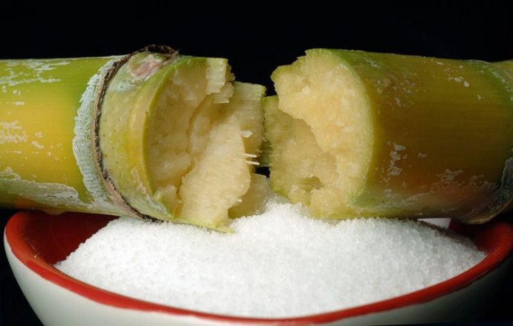 Close-up view of sugar cane & refined sugar.Photo: CSIRO CC BY-SA 3.0