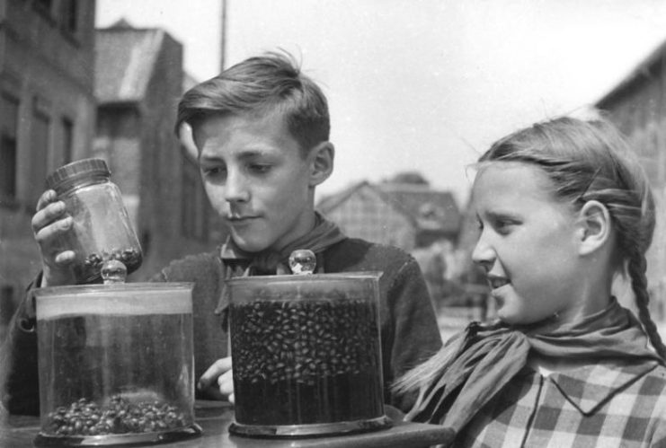 East German Young Pioneers collecting beetles during the war against the potato beetle.Photo: Bundesarchiv, Bild 183-15032-0001 / Biscan / CC-BY-SA 3.0