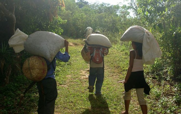 Fairtrade coffee growers in El Salvador.Photo:Adam C. Baker CC BY 2.0