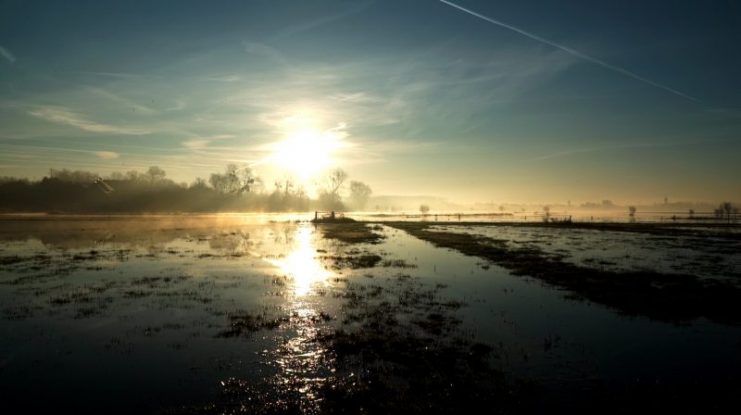 Floods at La Fiere