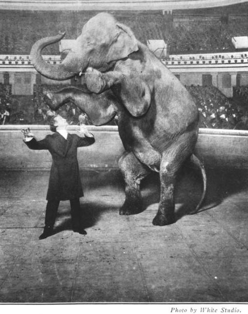 Houdini and Jennie, the Vanishing Elephant, January 7, 1918