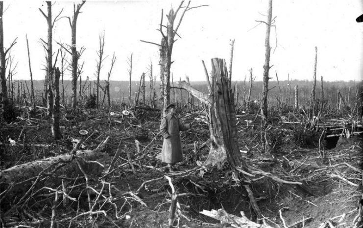 World War I, Argonne, at the Bagatelle plant