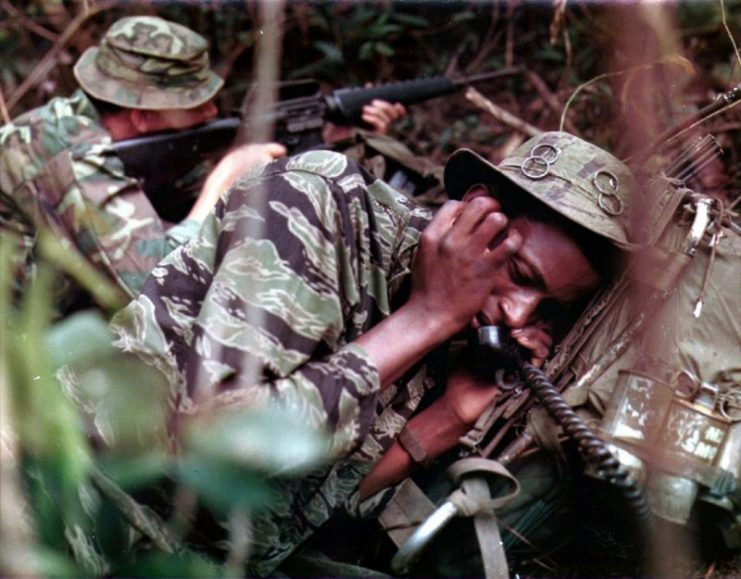 Jungle Combat in Vietnam