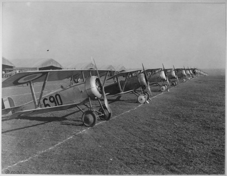 Lineup of Nieuport 17 trainers at Issoudun Aerodrome, France