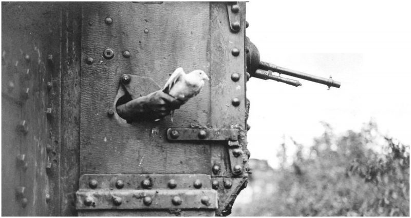 A message-carrying pigeon being released from a port-hole in the side of a British tank, near Albert, France. It's a Mark V tank of the 10th Battalion, Tank Corps attached to the III Corps during the Battle of Amiens.