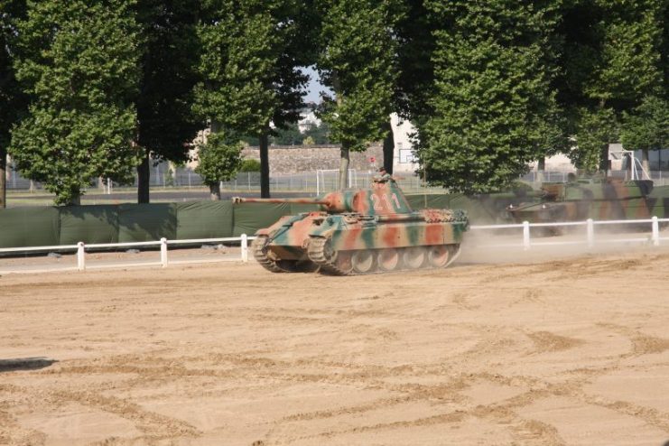 Panther Saumur