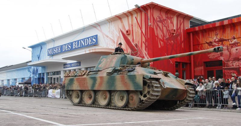 Panther Saumur S