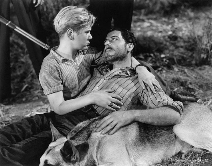 Promotional still for the 1936 film Tough Guy, starring Jackie Cooper, Joseph Calleia and Rin Tin Tin Jr.