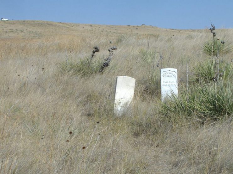 Mitch Bouyer marker on Deep Ravine trail. Deep Ravine is to the right of this picture (south/southwest) and about 65 yards distant.