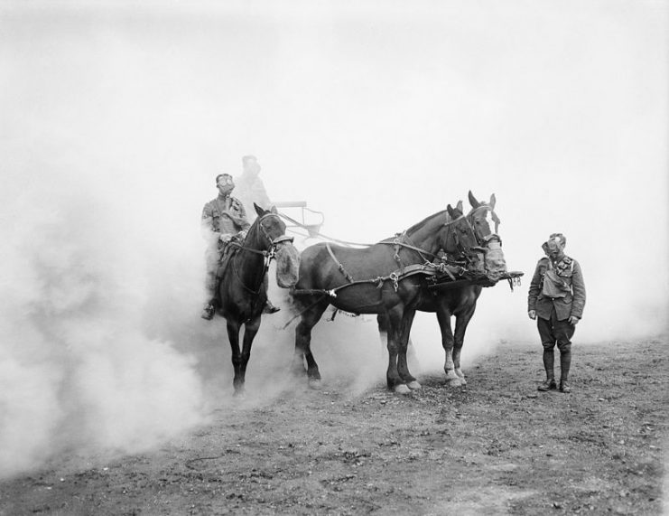 Men and horses of the Army Service Corps (ASC) during the First World War