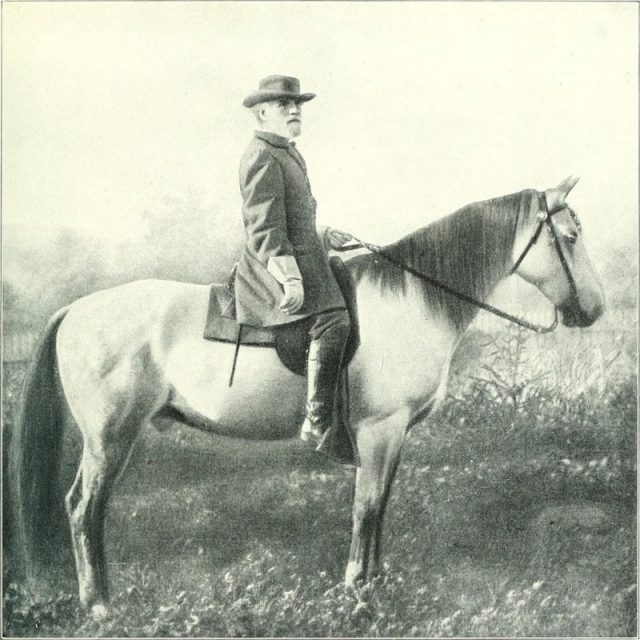 Traveller is arguably the Civil War’s most famous horse