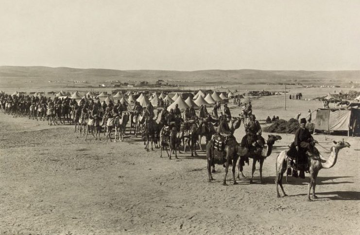 Ottoman camel corps at Beersheba during the First Suez Offensive of World War I, 1915.
